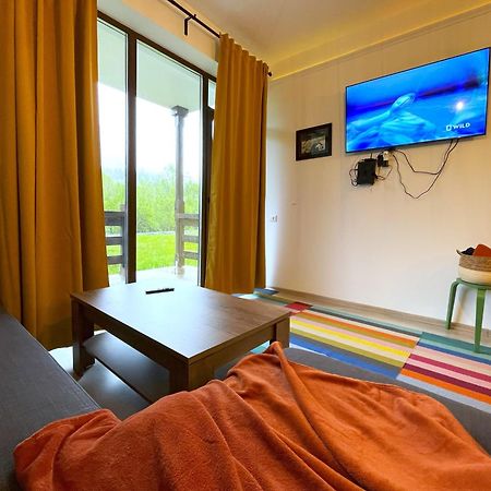 Cozy Riverfront Apartments With Garden And Mountain View 부스테니 외부 사진