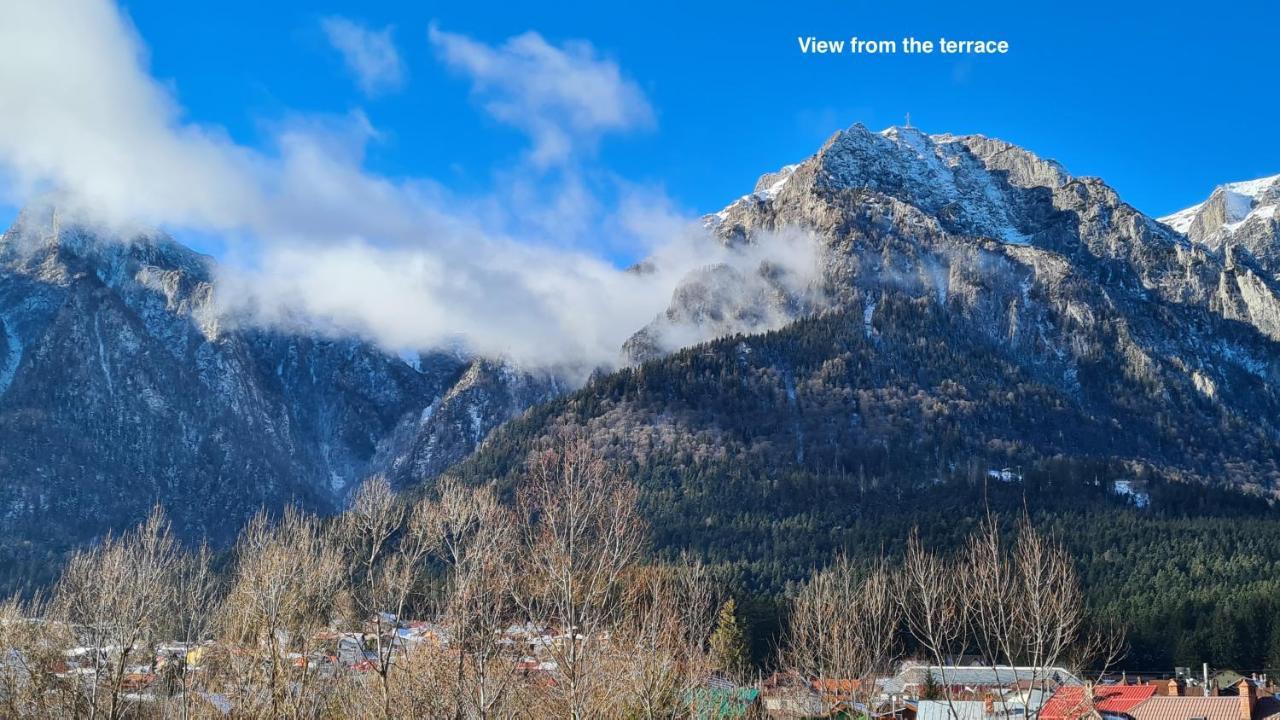 Cozy Riverfront Apartments With Garden And Mountain View 부스테니 외부 사진